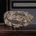 Creative Dinosaur Fossil Statue Decor Art Crafts Figurine Abstract Sculpture Home Office Desktop Decoration Ornament Gift 2