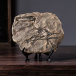 Creative Dinosaur Fossil Statue Decor Art Crafts Figurine Abstract Sculpture Home Office Desktop Decoration Ornament Gift 4